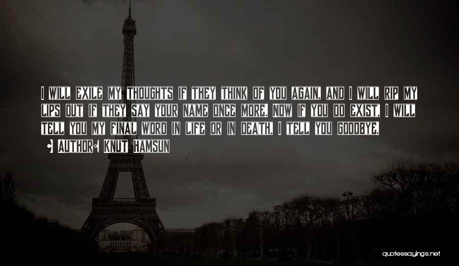 Knut Hamsun Quotes 771312 Knut Hamsun Quotes 771312