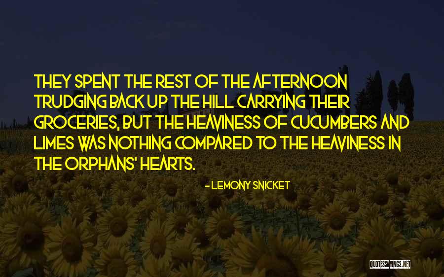 Koala Kontrol Quotes By Lemony Snicket Koala Kontrol Quotes By Lemony Snicket