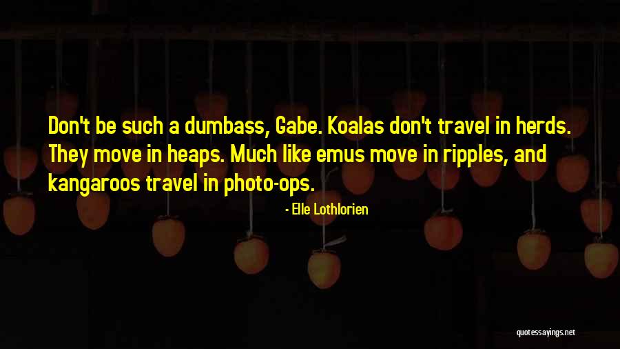 Koalas Quotes By Elle Lothlorien Koalas Quotes By Elle Lothlorien