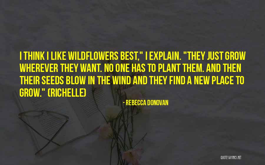 Kobaru Quotes By Rebecca Donovan Kobaru Quotes By Rebecca Donovan