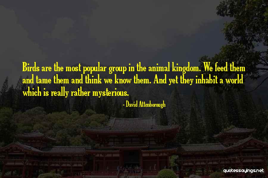 Kobashi Kenta Quotes By David Attenborough Kobashi Kenta Quotes By David Attenborough