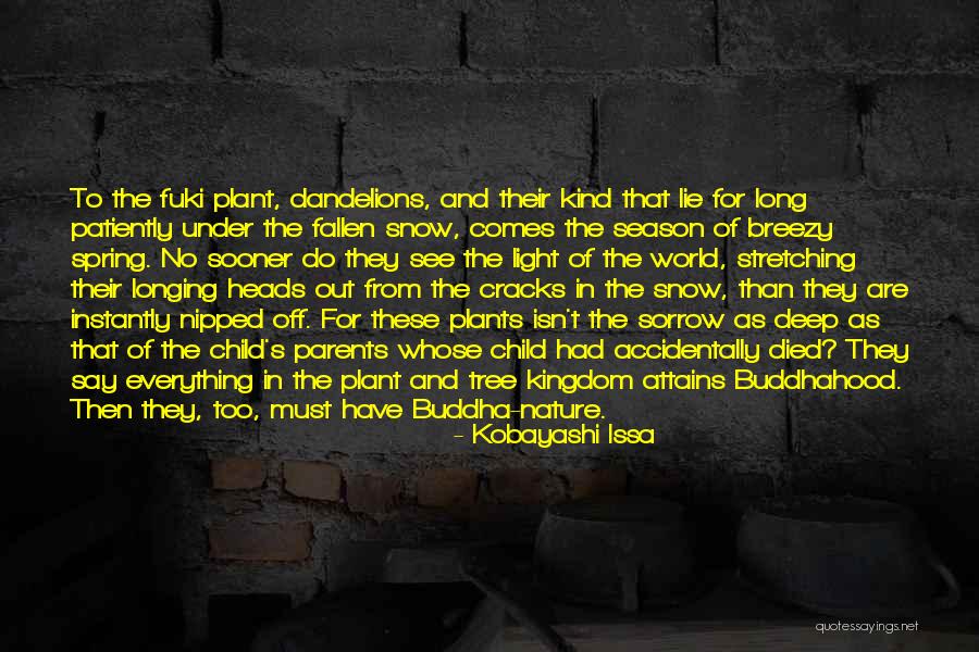 Kobayashi Issa Quotes 1797649 Kobayashi Issa Quotes 1797649