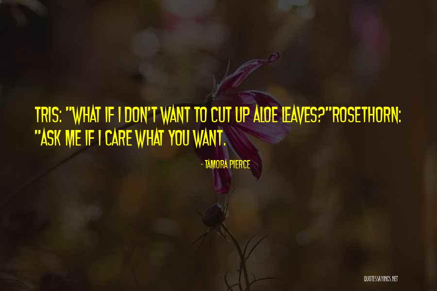 Kobiety Bez Quotes By Tamora Pierce Kobiety Bez Quotes By Tamora Pierce