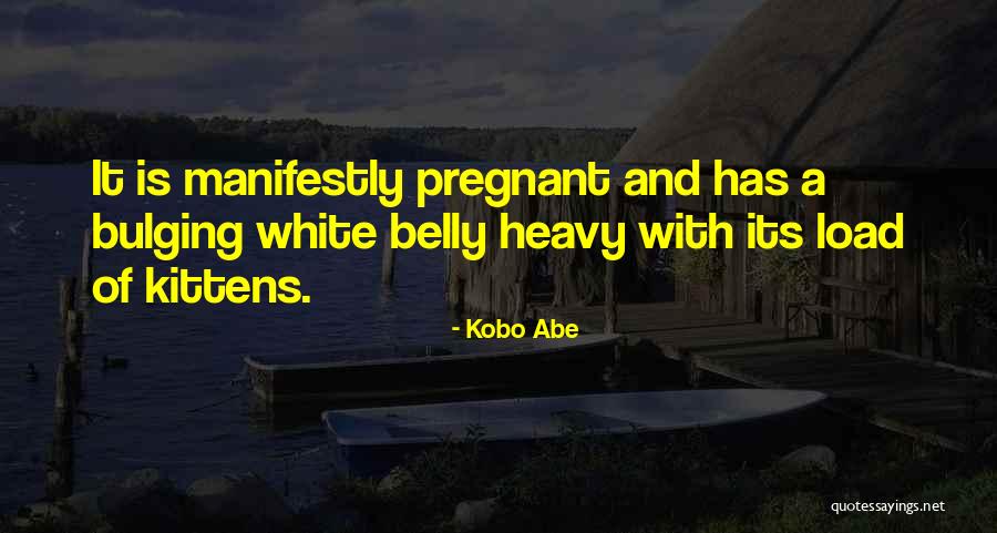 Kobo Quotes By Kobo Abe