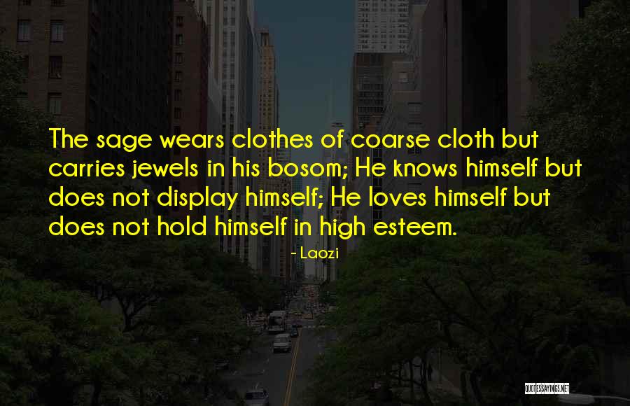 Kobschies Quotes By Laozi Kobschies Quotes By Laozi