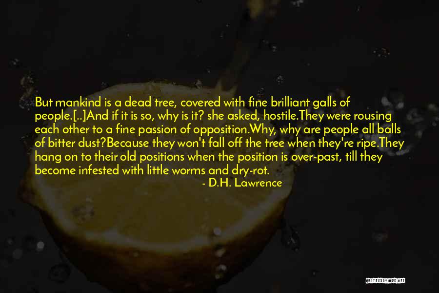 Kobza Realty Quotes By D.H. Lawrence Kobza Realty Quotes By D.H. Lawrence