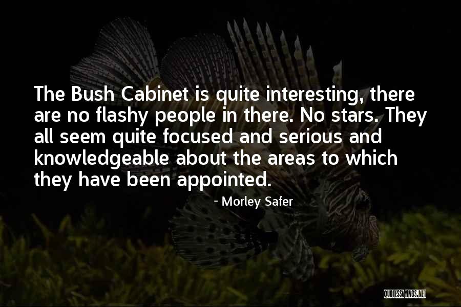 Kocaman Aile Quotes By Morley Safer Kocaman Aile Quotes By Morley Safer