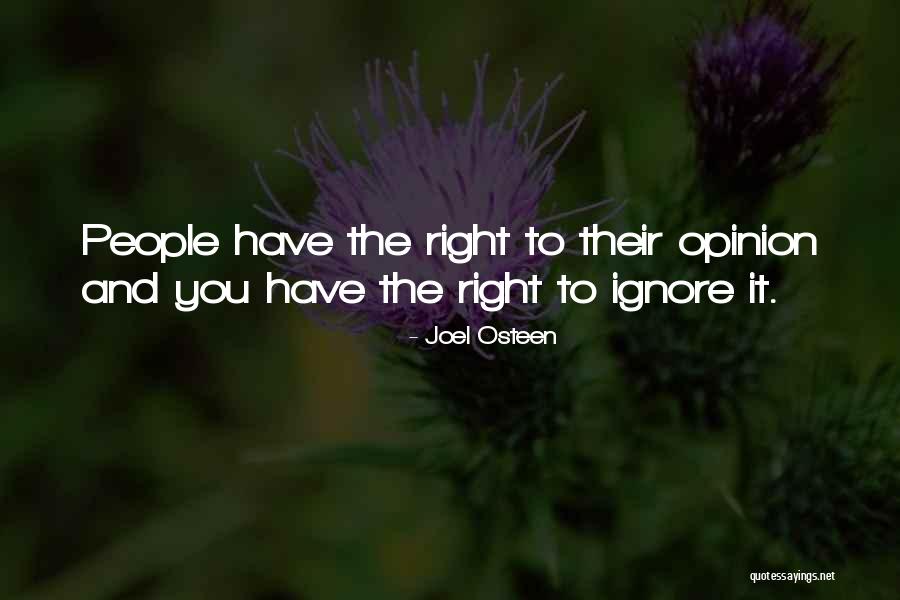 Kochendorfer Group Quotes By Joel Osteen Kochendorfer Group Quotes By Joel Osteen