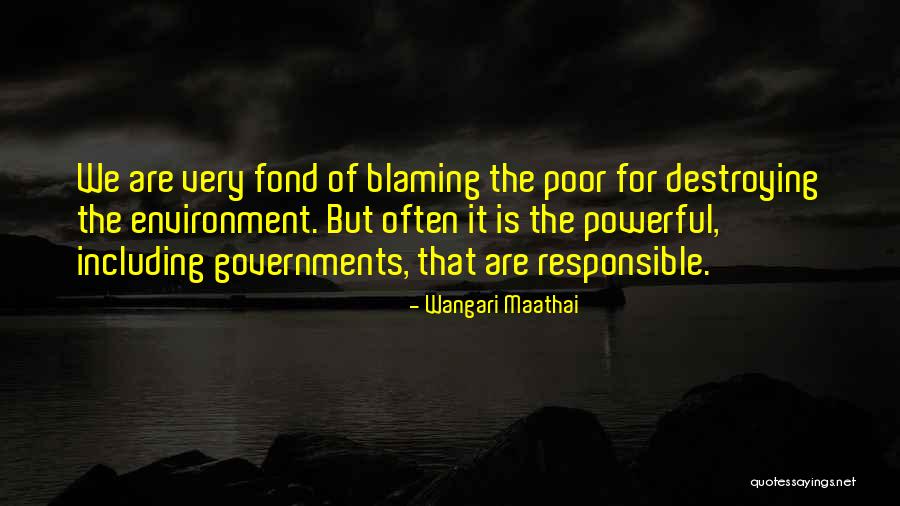 Koczarski Aesthetic And Laser Quotes By Wangari Maathai Koczarski Aesthetic And Laser Quotes By Wangari Maathai