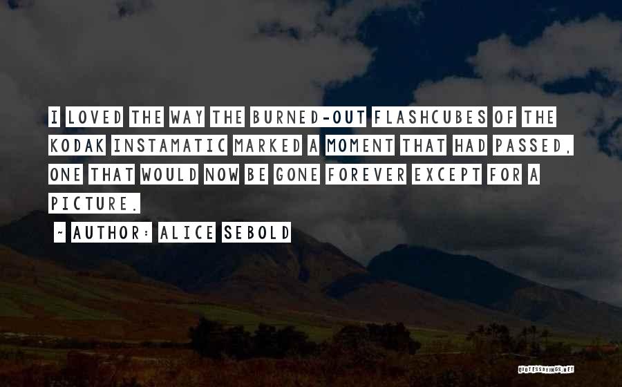 Kodak Moment Quotes By Alice Sebold