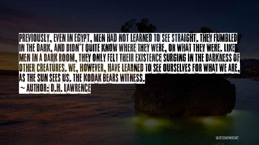 Kodak Quotes By D.H. Lawrence