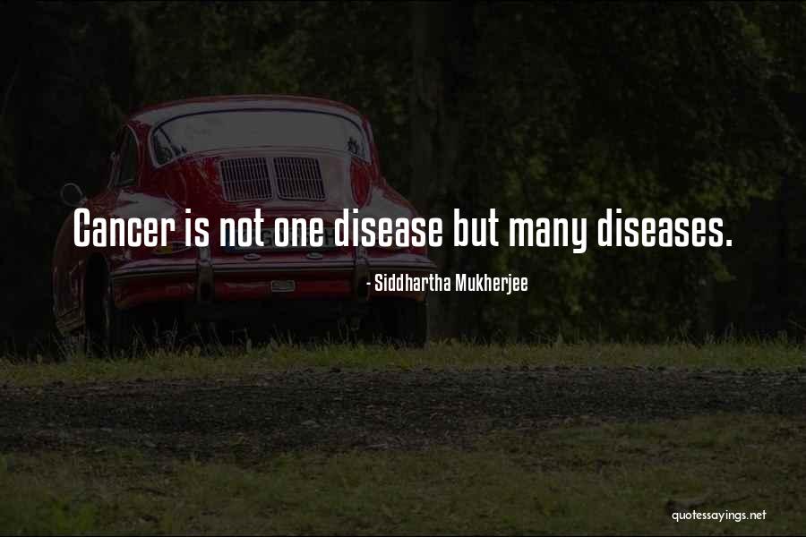 Kodjovitoguin Quotes By Siddhartha Mukherjee Kodjovitoguin Quotes By Siddhartha Mukherjee