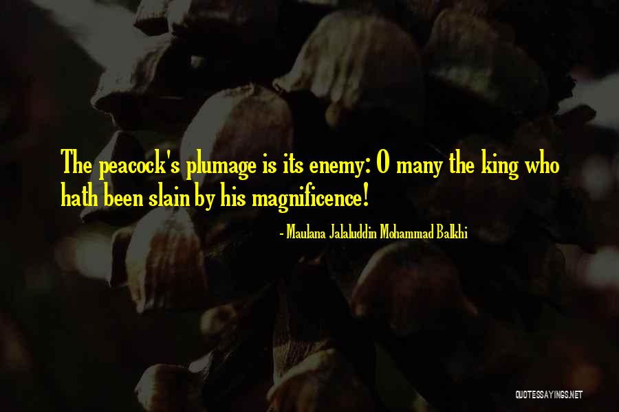Kodman58cool Quotes By Maulana Jalaluddin Mohammad Balkhi Kodman58cool Quotes By Maulana Jalaluddin Mohammad Balkhi