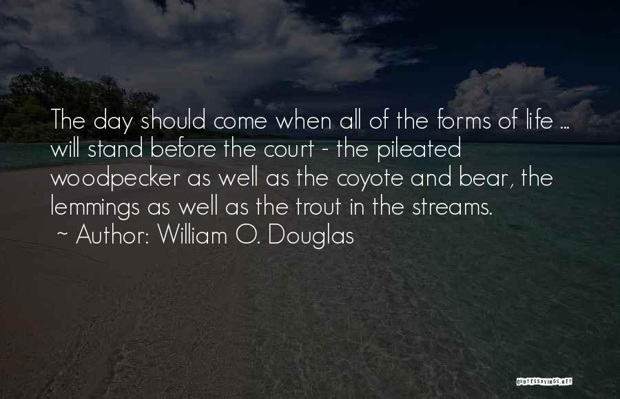 Koehler Quotes By William O. Douglas