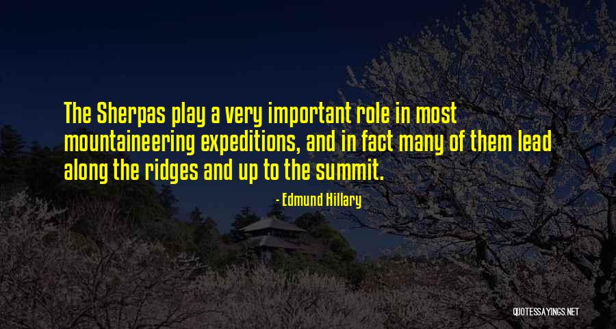 Koertge Quotes By Edmund Hillary Koertge Quotes By Edmund Hillary