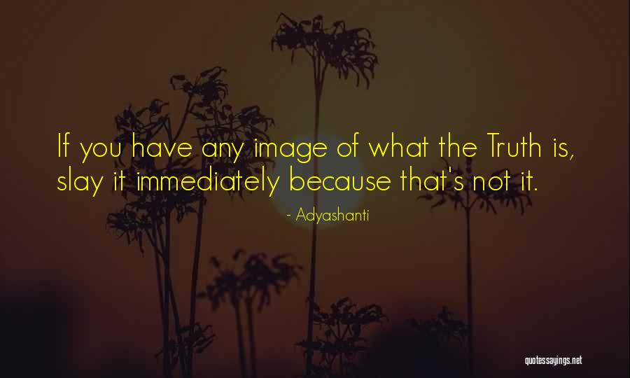 Koferi Quotes By Adyashanti Koferi Quotes By Adyashanti