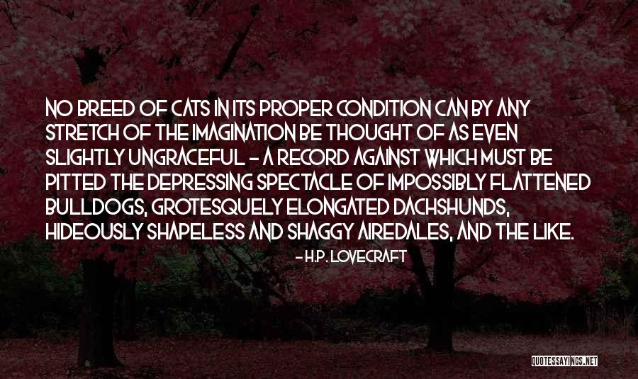 Kogumiskindlustus Quotes By H.P. Lovecraft Kogumiskindlustus Quotes By H.P. Lovecraft
