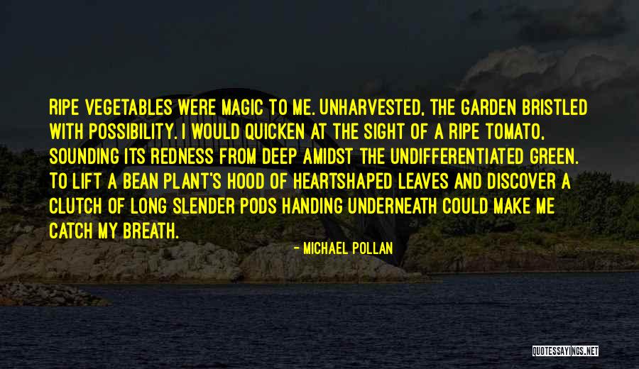 Kohain Priest Quotes By Michael Pollan Kohain Priest Quotes By Michael Pollan