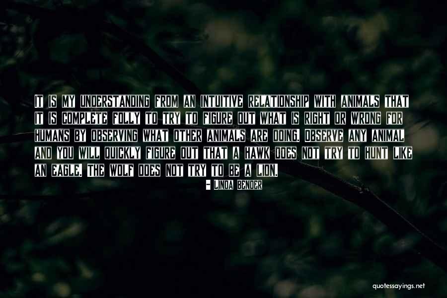 Kohaku Uta Quotes By Linda Bender Kohaku Uta Quotes By Linda Bender