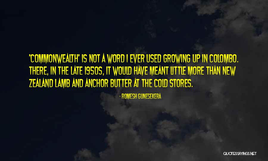 Kohane Azusawa Quotes By Romesh Gunesekera Kohane Azusawa Quotes By Romesh Gunesekera