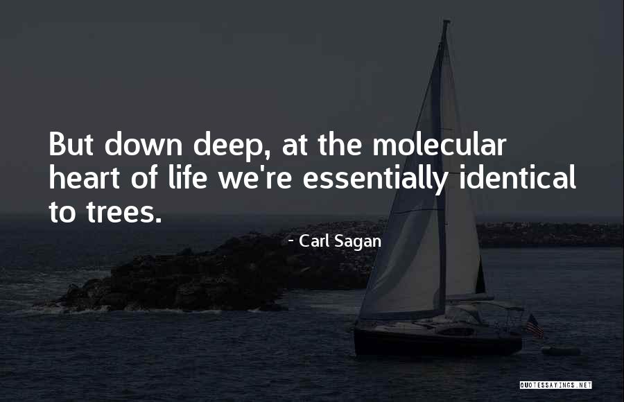 Kohinata Shie Quotes By Carl Sagan Kohinata Shie Quotes By Carl Sagan