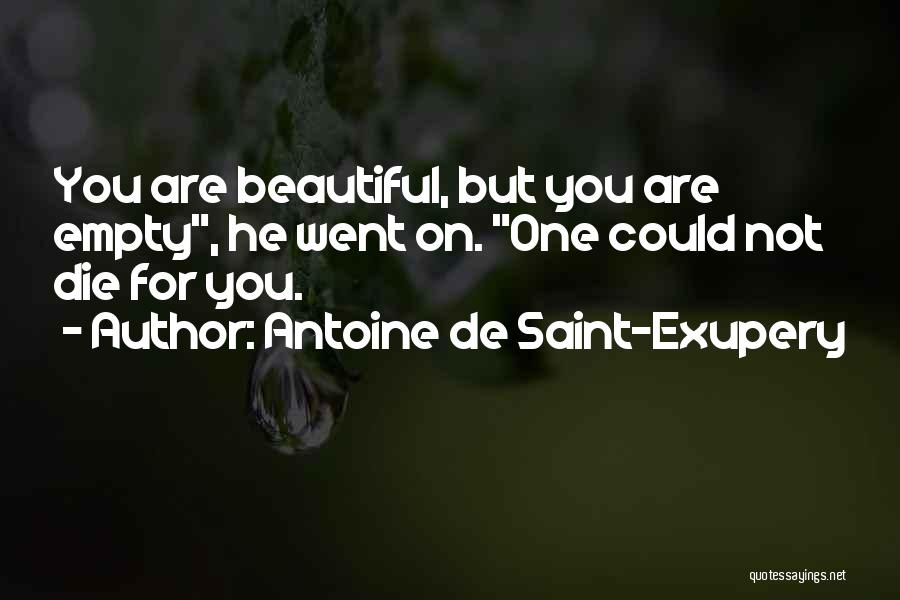 Kohnens Bakery Quotes By Antoine De Saint-Exupery