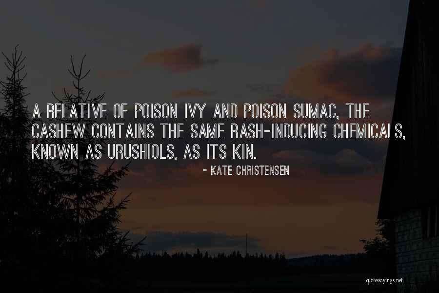 Kohnert Bilingual Quotes By Kate Christensen Kohnert Bilingual Quotes By Kate Christensen