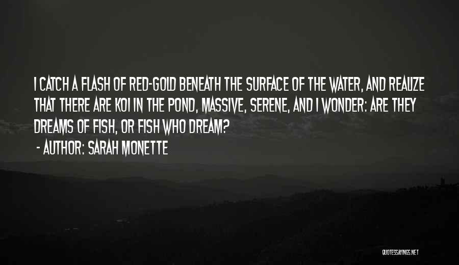 Koi Quotes By Sarah Monette