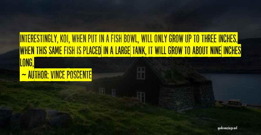 Koi Quotes By Vince Poscente