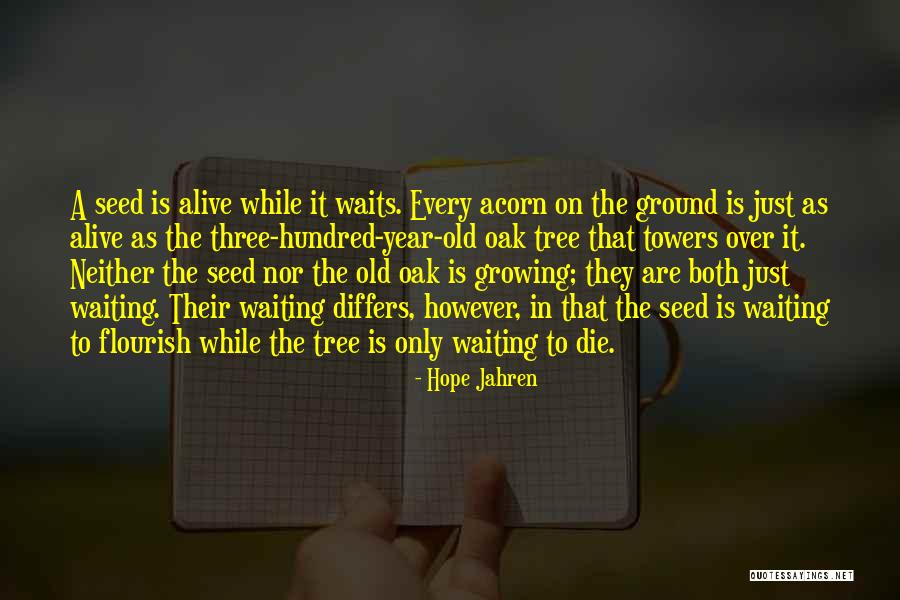 Koivuangervo Quotes By Hope Jahren Koivuangervo Quotes By Hope Jahren