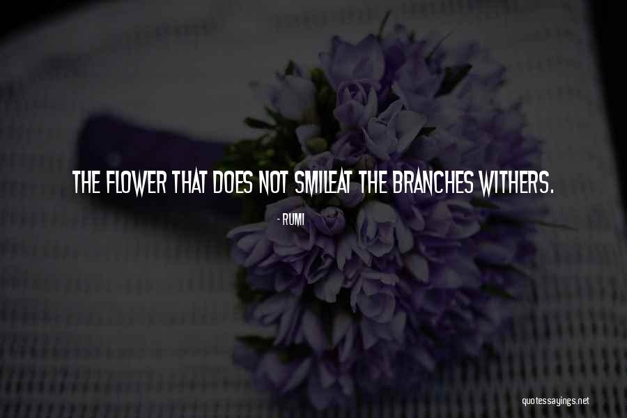 Kojak Theme Quotes By Rumi Kojak Theme Quotes By Rumi