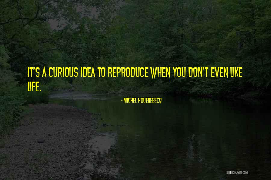 Kokemachine Quotes By Michel Houellebecq Kokemachine Quotes By Michel Houellebecq