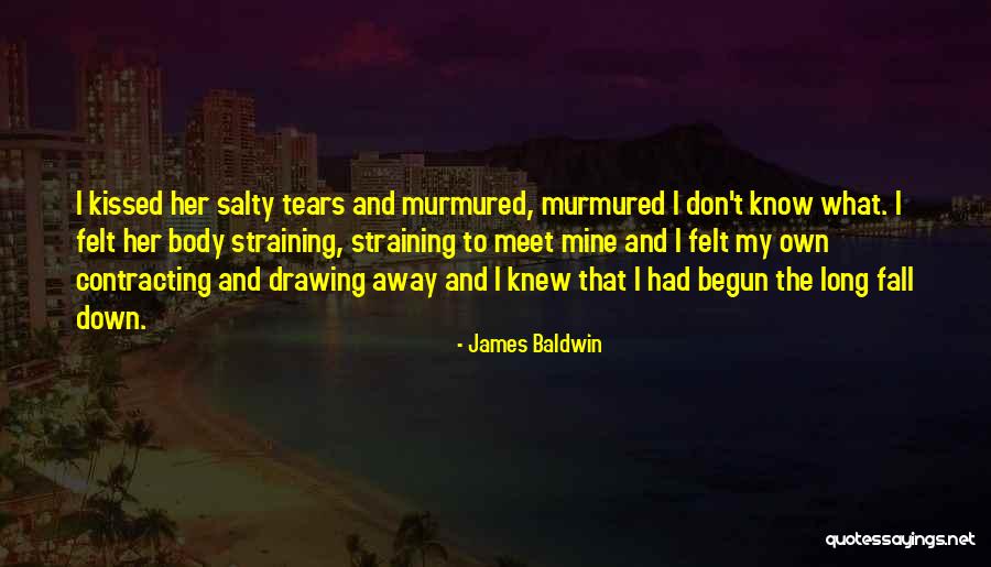 Kokerboom Quotes By James Baldwin Kokerboom Quotes By James Baldwin