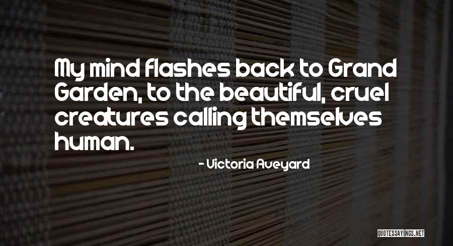 Kolbeinn Kristinsson Quotes By Victoria Aveyard Kolbeinn Kristinsson Quotes By Victoria Aveyard