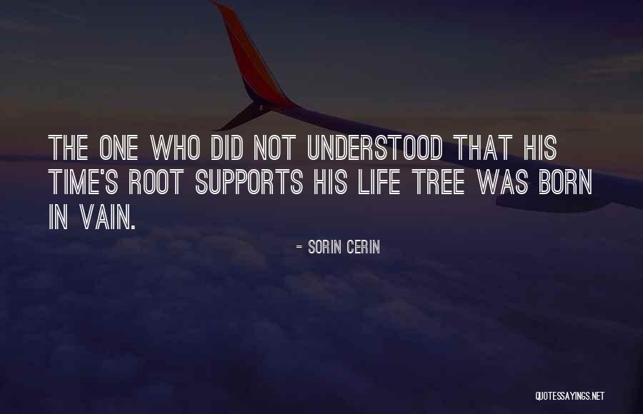 Kolby Lee Quotes By Sorin Cerin Kolby Lee Quotes By Sorin Cerin
