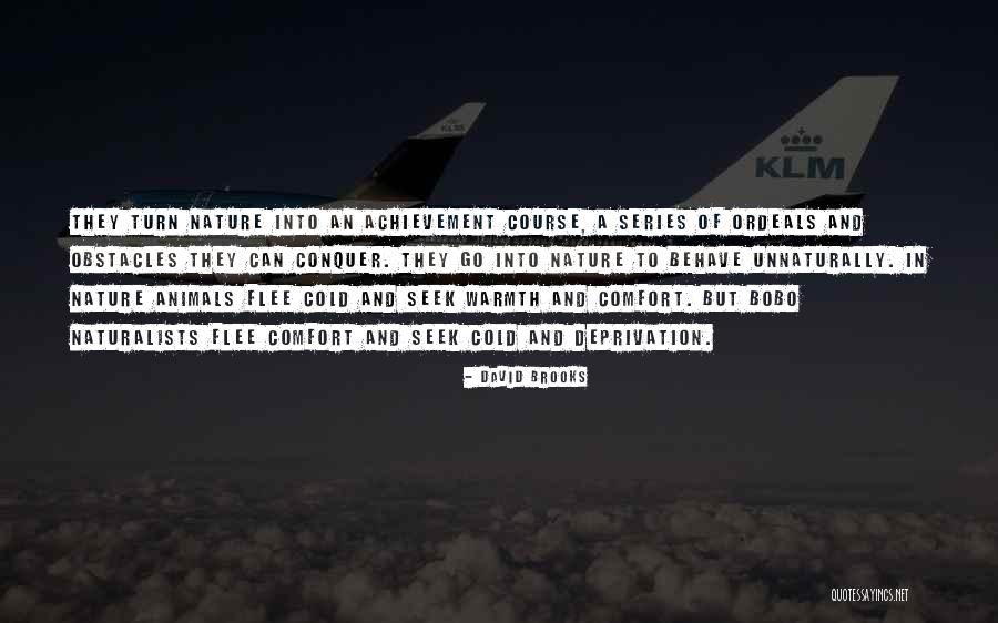 Koltai Quotes By David Brooks Koltai Quotes By David Brooks