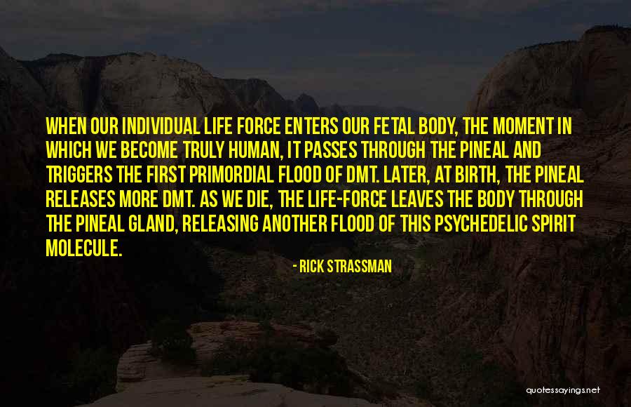 Kolton Moore Quotes By Rick Strassman Kolton Moore Quotes By Rick Strassman