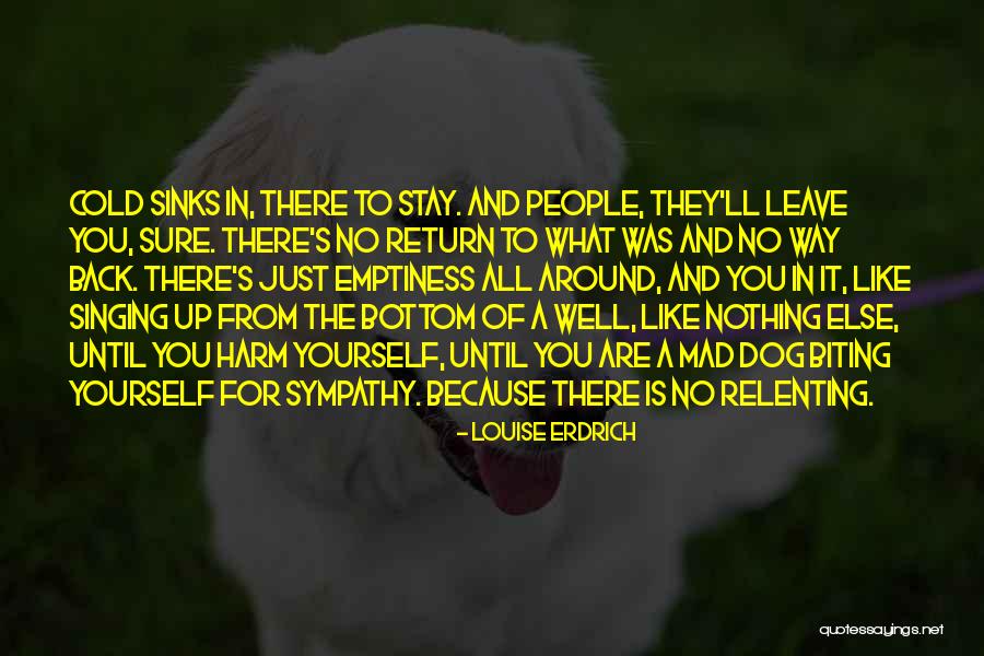 Koltukta Uyuyan Quotes By Louise Erdrich Koltukta Uyuyan Quotes By Louise Erdrich