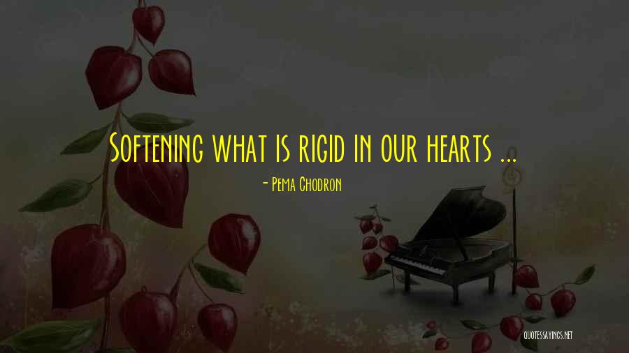 Komandu Sporta Quotes By Pema Chodron Komandu Sporta Quotes By Pema Chodron