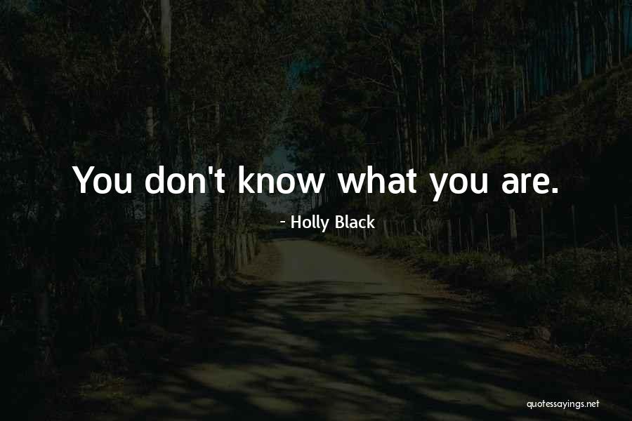 Komazawa Setagaya Ku Quotes By Holly Black Komazawa Setagaya Ku Quotes By Holly Black