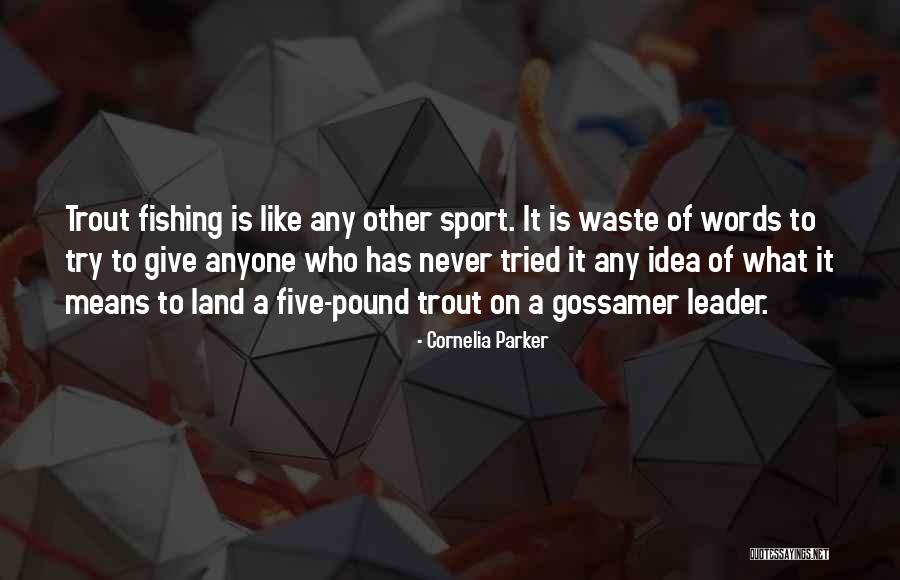 Kombinasi Dan Quotes By Cornelia Parker Kombinasi Dan Quotes By Cornelia Parker