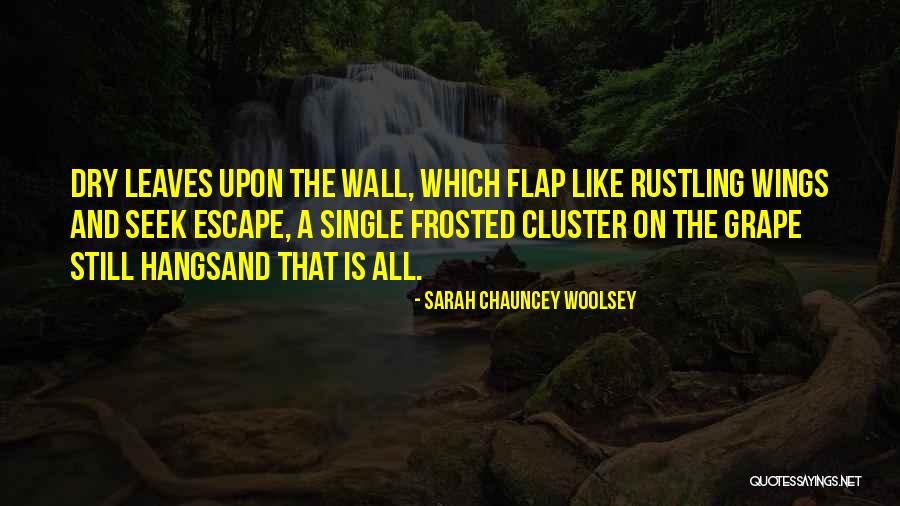 Kombination Ohne Quotes By Sarah Chauncey Woolsey Kombination Ohne Quotes By Sarah Chauncey Woolsey