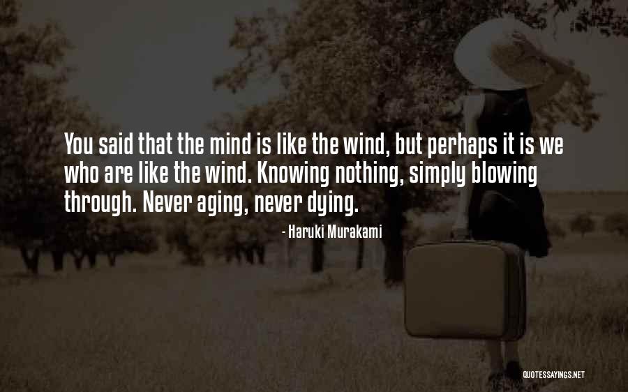 Kombinezonai Quotes By Haruki Murakami Kombinezonai Quotes By Haruki Murakami