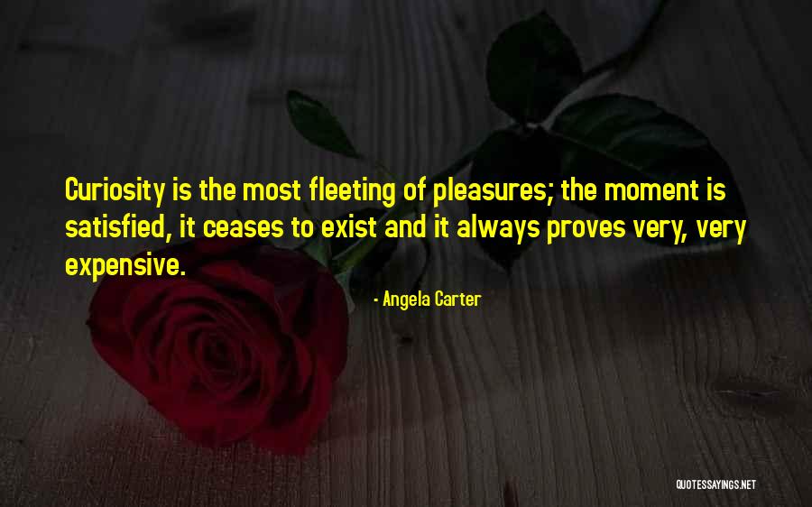 Komisar Quotes By Angela Carter Komisar Quotes By Angela Carter