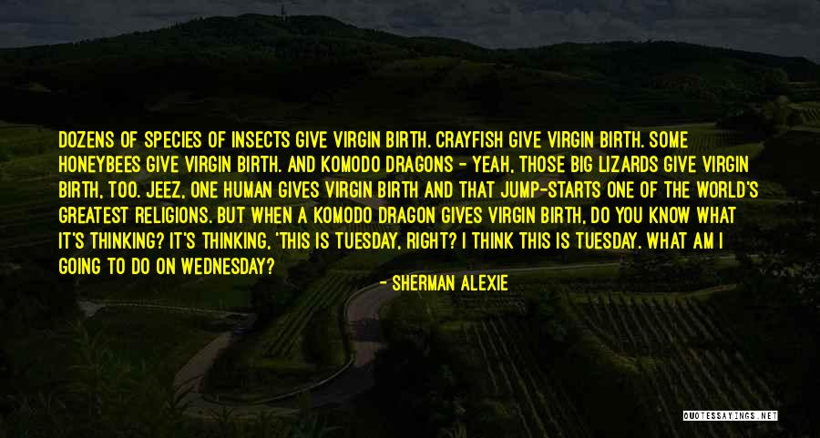 Komodo Quotes By Sherman Alexie Komodo Quotes By Sherman Alexie