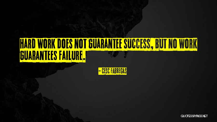 Kompletne Quotes By Cesc Fabregas Kompletne Quotes By Cesc Fabregas