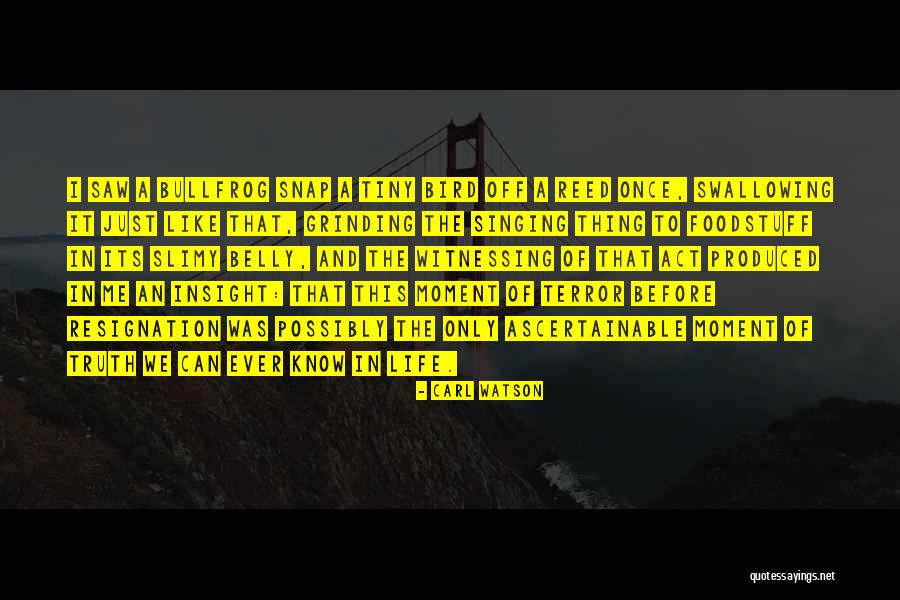 Komplikovana Quotes By Carl Watson Komplikovana Quotes By Carl Watson