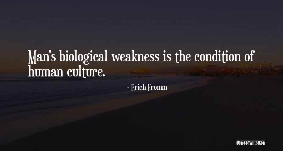 Komunitas Bisnis Quotes By Erich Fromm Komunitas Bisnis Quotes By Erich Fromm