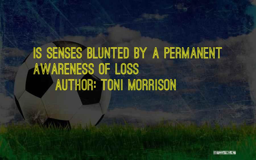 Komzak Composer Quotes By Toni Morrison