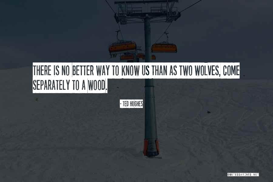 Kong Fuzi Quotes By Ted Hughes Kong Fuzi Quotes By Ted Hughes